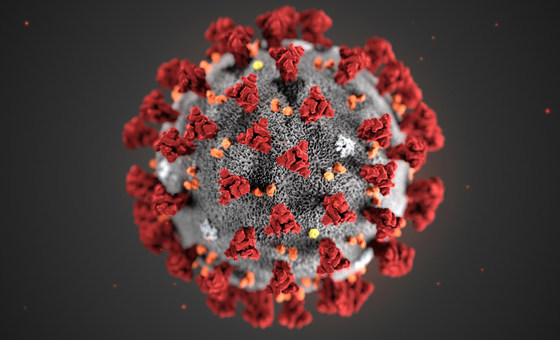 La enfermedad del coronavirus, una emergencia de salud mundial