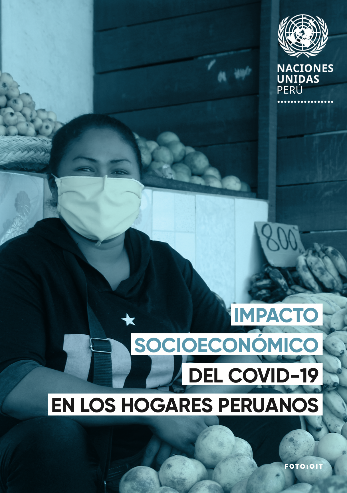 Impacto socioeconómico del COVID-19 en los hogares peruanos