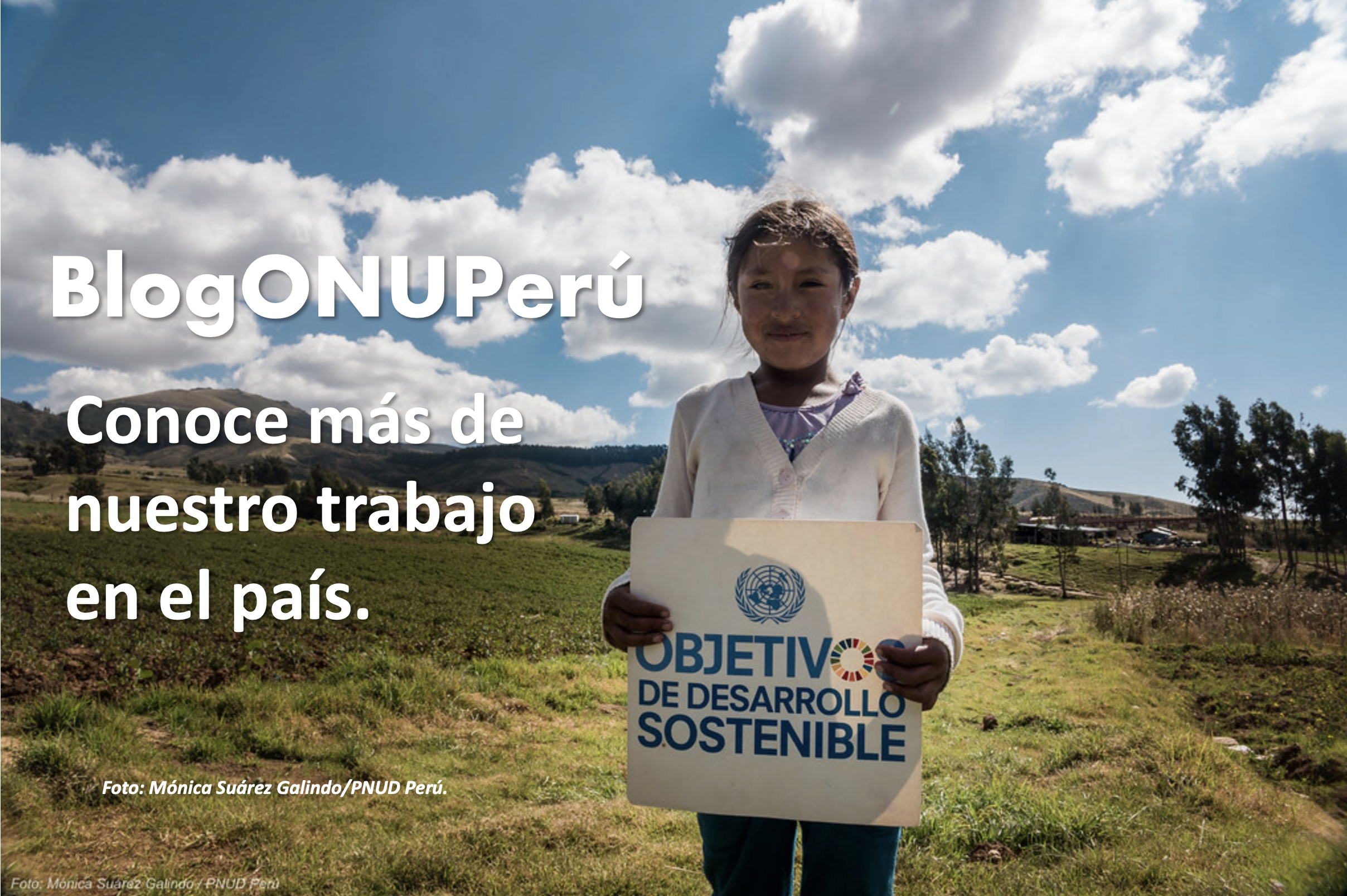 Blog: La COP 26 y cómo estamos contribuyendo a la agenda de cambio climático en el Perú