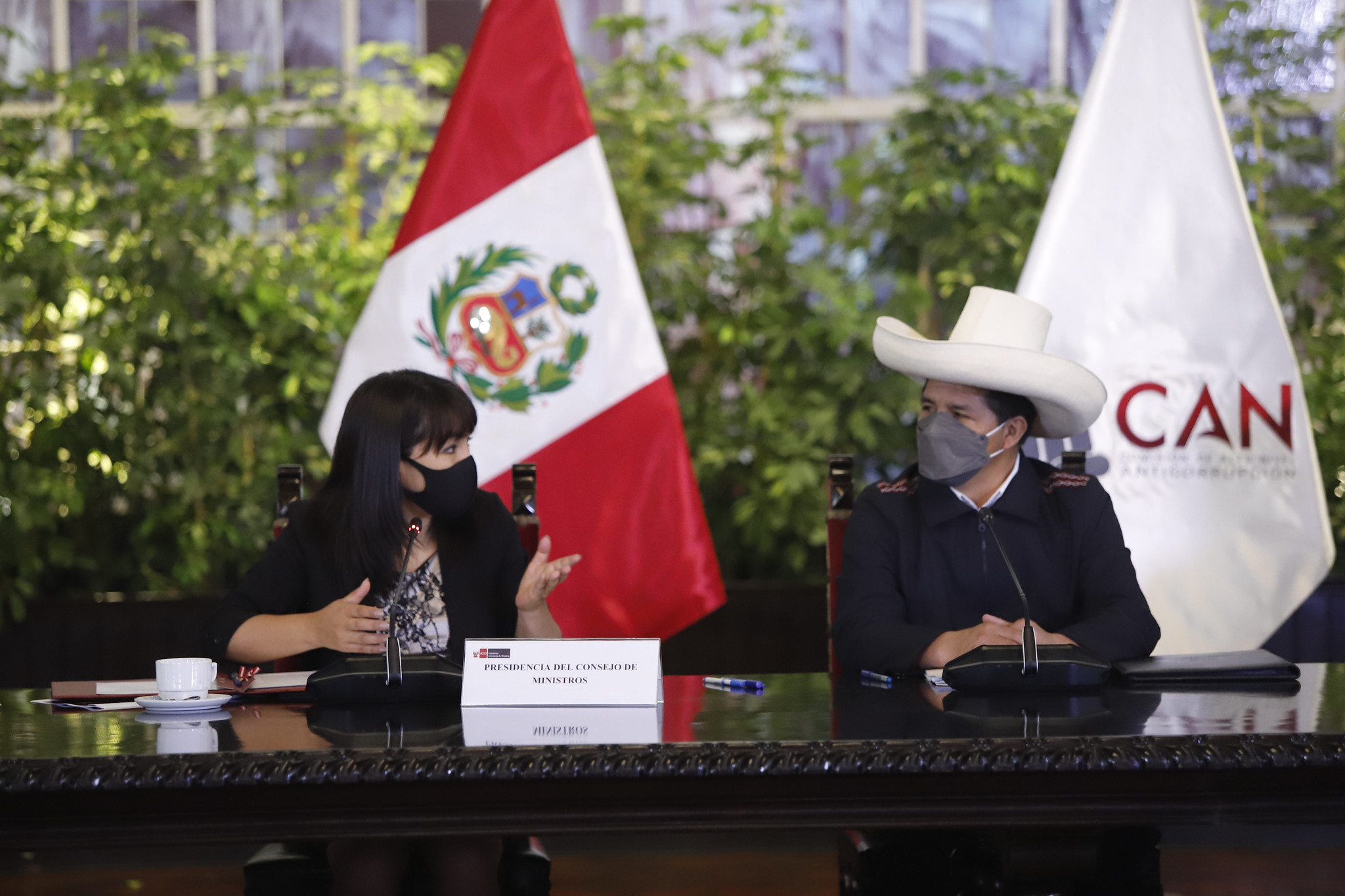 La ONU ofrece cooperación técnica a la Comisión de Alto Nivel Anticorrupción del Perú