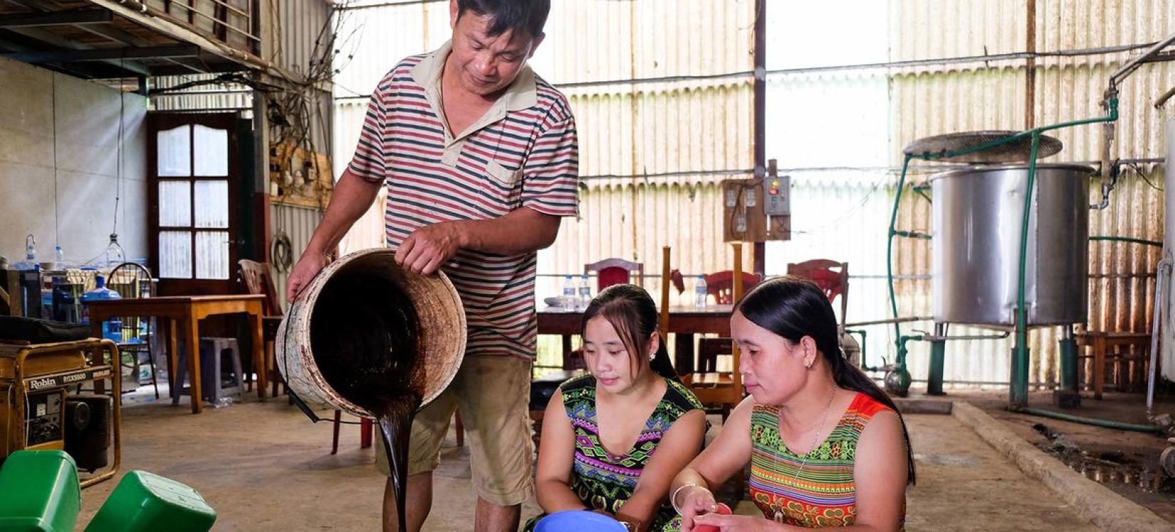En Vietnam, los productos forestales se transforman en medicamentos.