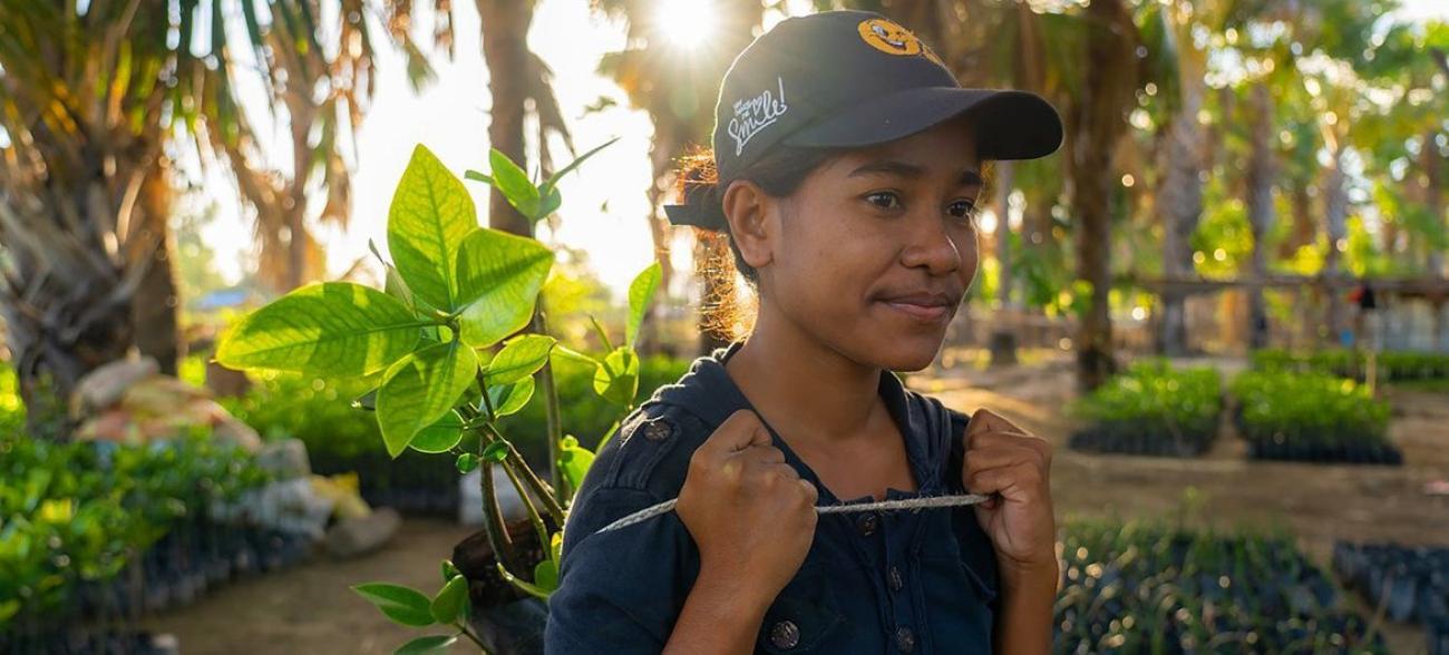 Las comunidades de Timor Oriental están ayudando a restaurar los manglares