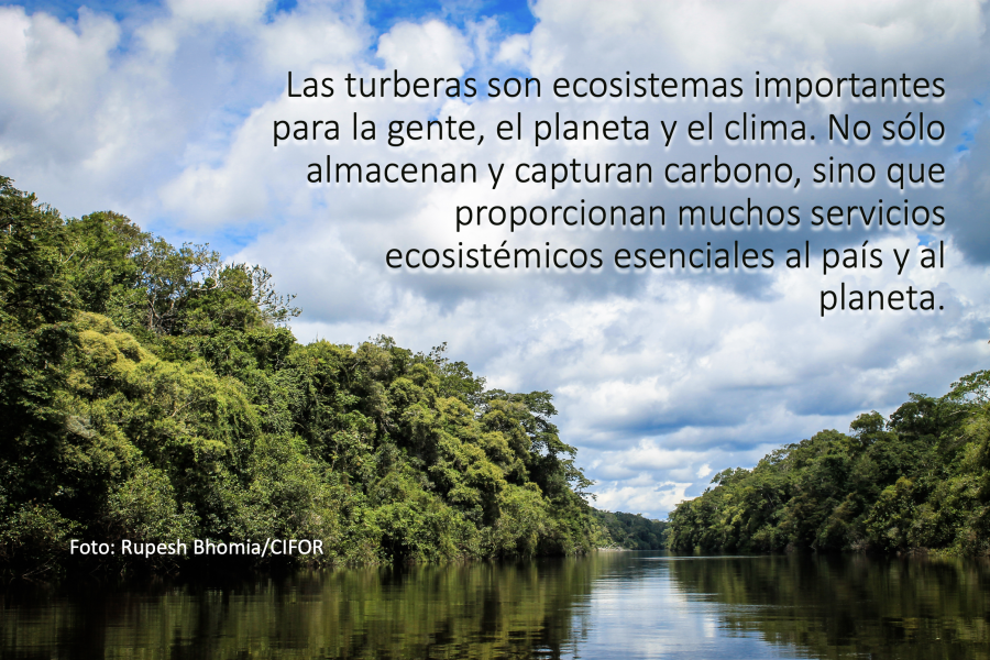 Blog: Las turberas peruanas y su papel clave en la lucha contra el cambio  climático | Naciones Unidas en Perú