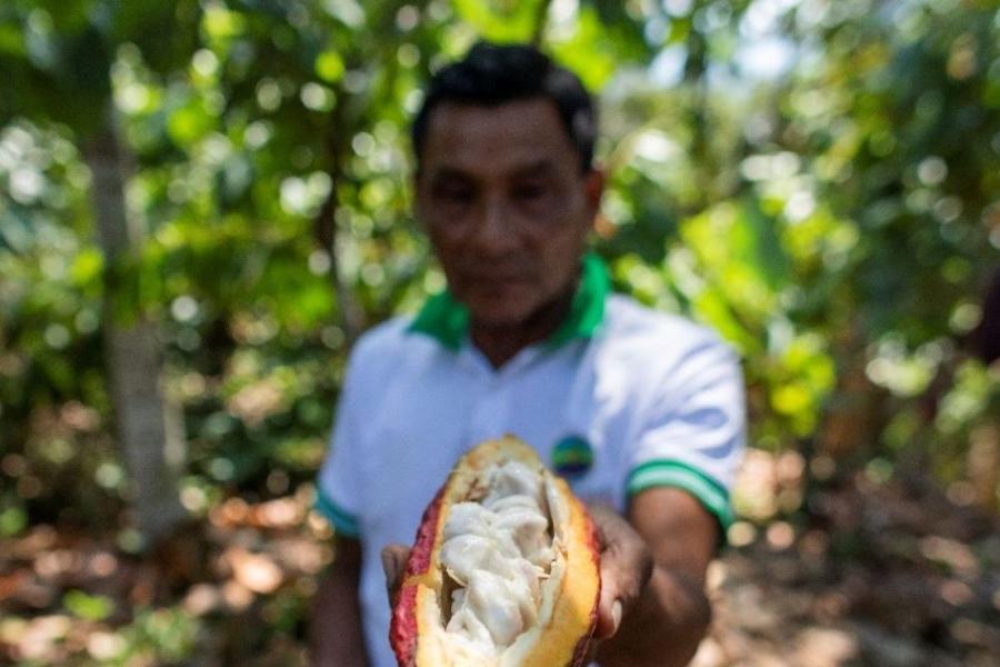 La cooperativa Allima reúne y apoya a pequeños agricultores de la Amazonia peruana.