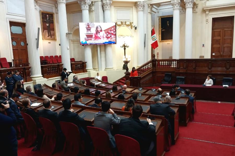 Mesa Técnica "Intercambio de experiencias regionales en el marco de la iniciativa para la creación de la ANIN"