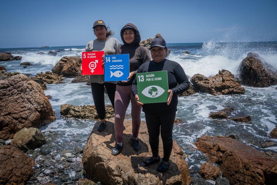 Mujeres pescadoras