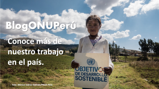 Banner blog ONU Perú