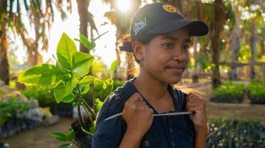 Las comunidades de Timor Oriental están ayudando a restaurar los manglares